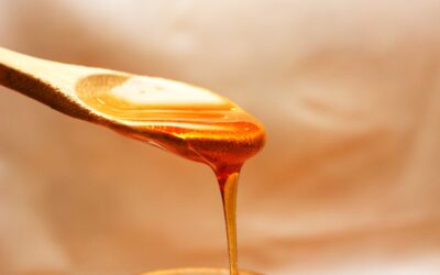 O Mel Possui Propriedades Antibacterianas Naturais Devido à Presença de Enzimas e Baixo Teor de Água