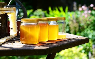 Mais de 300 Tipos de Mel: Uma Riqueza de Sabores e Aromas